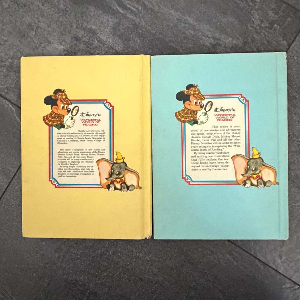 Disney's Wonderful World of Reading Books-Robin hood Saves The Day & Spins Gold - Picture 2 of 11